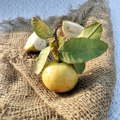 my winter's fav fruit ❤️