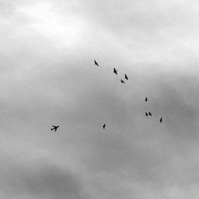 fly high