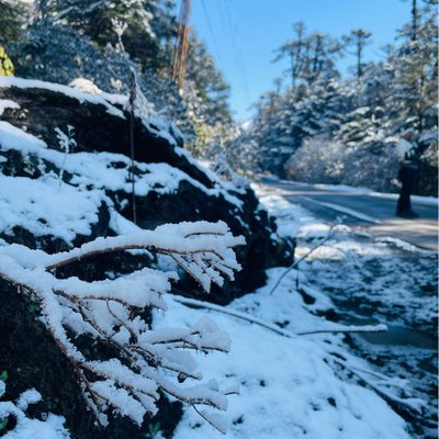 snow ❄️