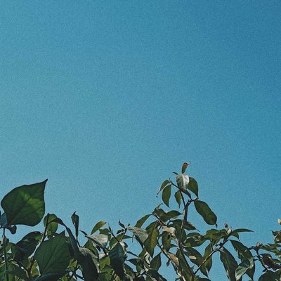 Aesthetic nature 🌿