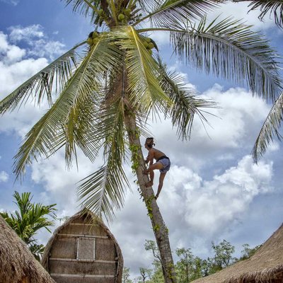 Petik kelapa