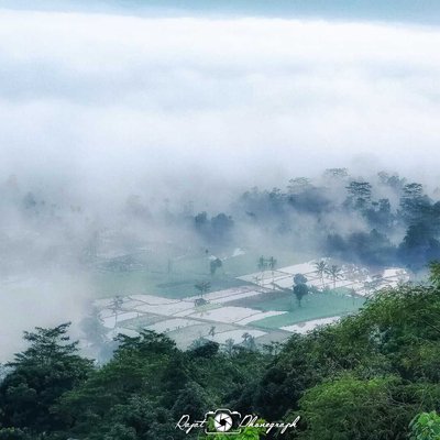bukit