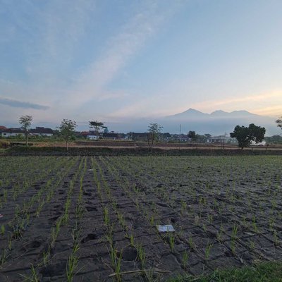 senja 01.08.2022 