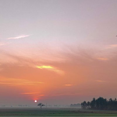 Early Morning
