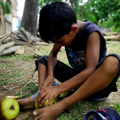Can you guess the Fruit 😊