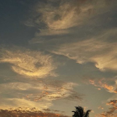 Sunsets