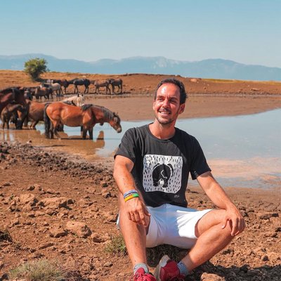 Wild horses in Livno 
