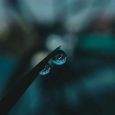 Waterdrops Macro Photography 