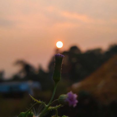 mobile photography 