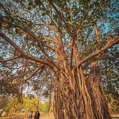 Shantiniketan 
