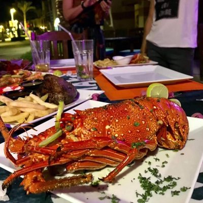 lobster 🦞 #delicious