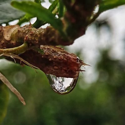 The Water Drop 💦