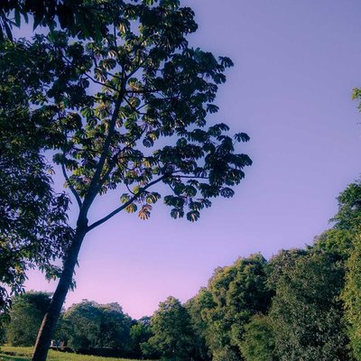 Naturaleza divina .. 