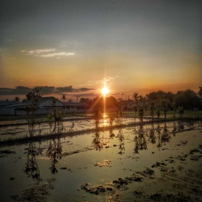 Suasana Pagi