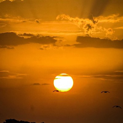 chasing sunset !