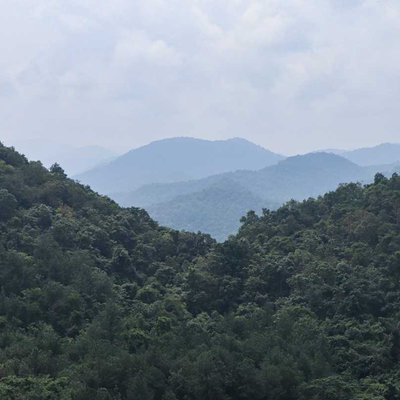 mountains