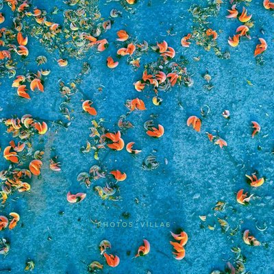 NATURE(AUTUMN)
