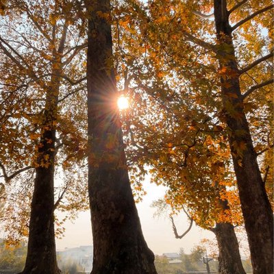 autumn at its peak 