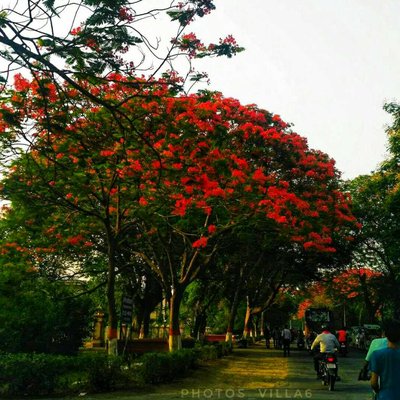 BEAUTY OF NATURE.