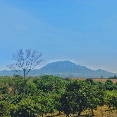 Pandan Mountain