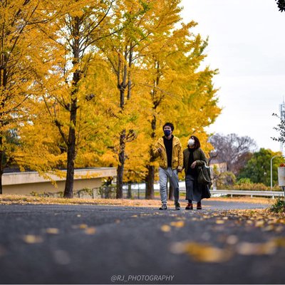 Autumn yellow