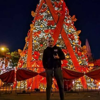 El árbol gigante 🎄