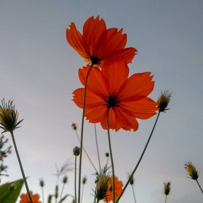 una mirada al cielo 