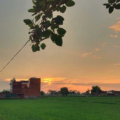 Village vibes