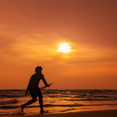 Surfing