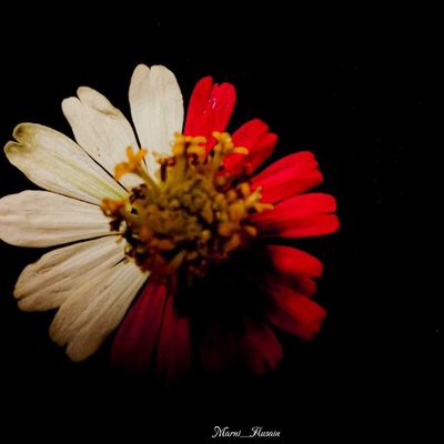 poetic and symbolic