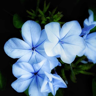 Edited picture 