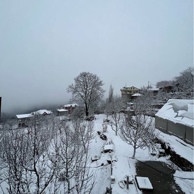 Snowy morning