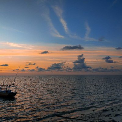 Senja