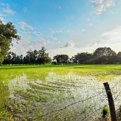 Beauty of our field 🛤️😊❤️