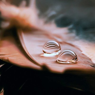 Macro drop 