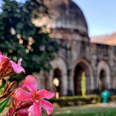 Beauty among neglected