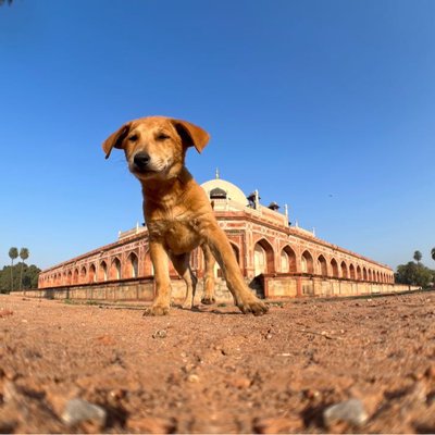 fisheye shoot 