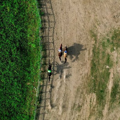 Traditional Horse Race