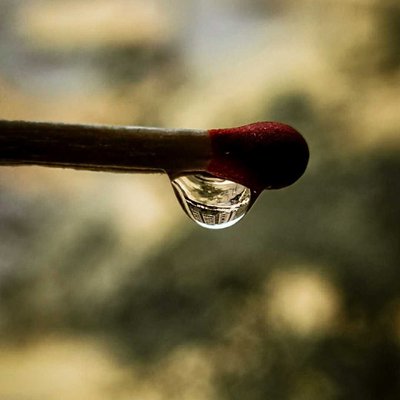 MACRO SHOT