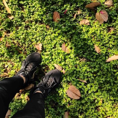 Some Greenery🌱✨