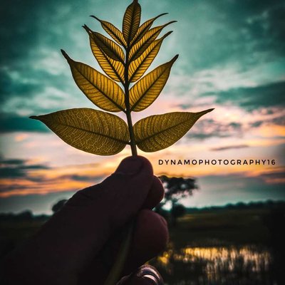 💛💚🌿Nature 🌿💚💛