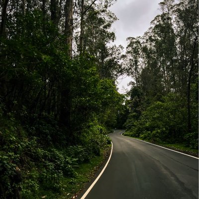 A road to Tiger Reserve 