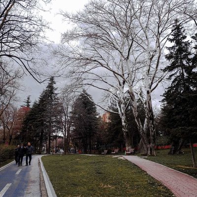 7.cadde