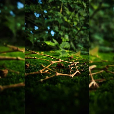 Nature