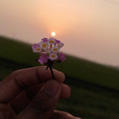 Soul healing sunset ✨