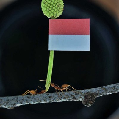 Bersama Kita Bisa