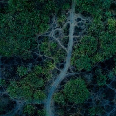 pattern by public