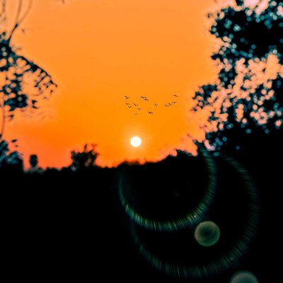 Sunset Photography 