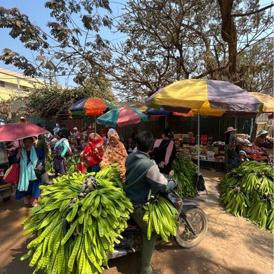 big bean sellers 