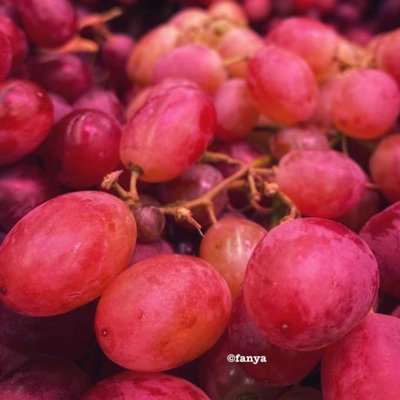 Anggur merah
